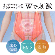 NIPLUX 3D CORE FLOW BELT 小蠻腰 GYM 美腹儀