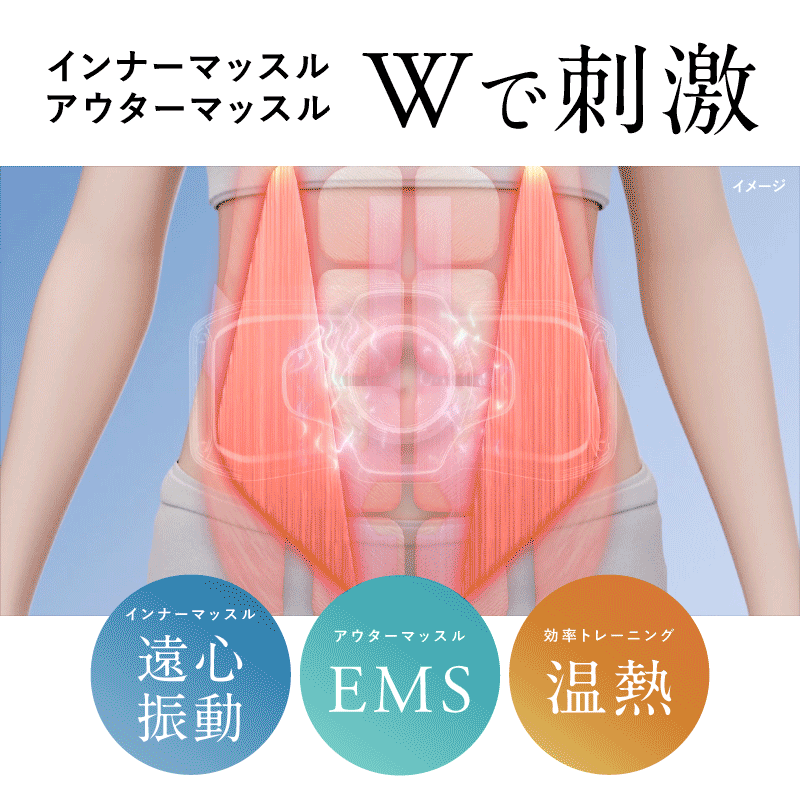 NIPLUX 3D CORE FLOW BELT 小蠻腰 GYM 美腹儀