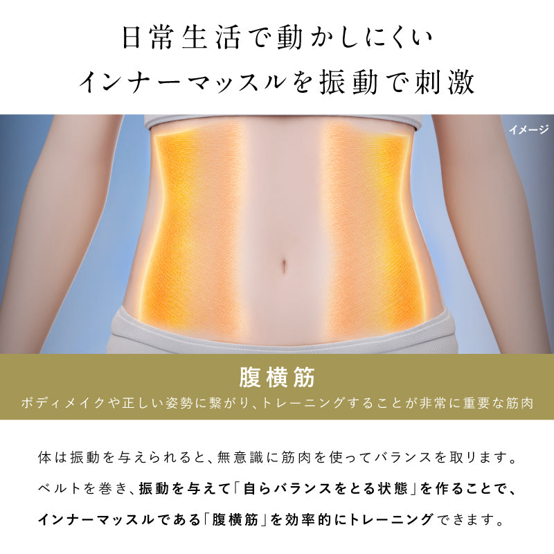NIPLUX 3D CORE FLOW BELT 小蠻腰 GYM 美腹儀