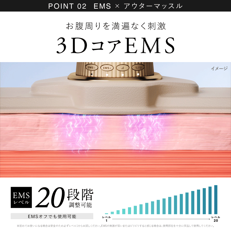 NIPLUX 3D CORE FLOW BELT 小蠻腰 GYM 美腹儀