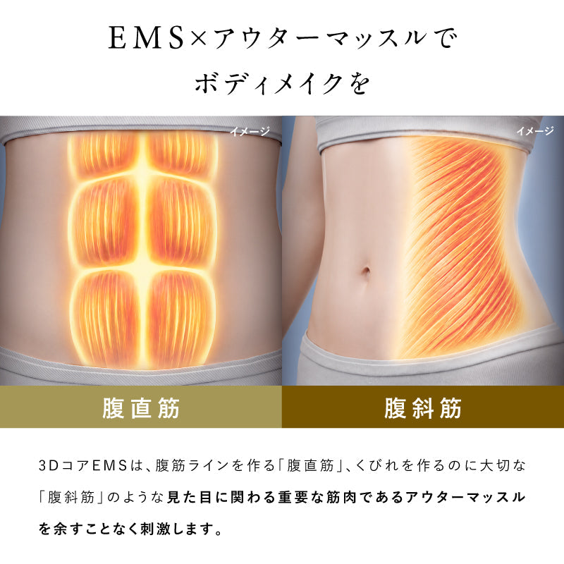NIPLUX 3D CORE FLOW BELT 小蠻腰 GYM 美腹儀