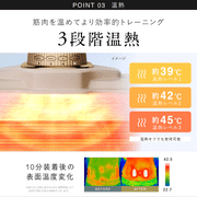 NIPLUX 3D CORE FLOW BELT 小蠻腰 GYM 美腹儀