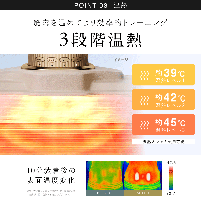 NIPLUX 3D CORE FLOW BELT 小蠻腰 GYM 美腹儀